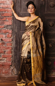 Gold & Silver Tissue Linen Saree