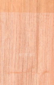 Strawberry Pink Silk Cotton Saree with Gold Zari Checks & Pallu