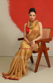 Gold Tissue Cotton saree With A Thin Red Border