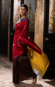 Walnut Brown & Red Silk Chanderi Saree with a Stunning Sunset Gold Pallu