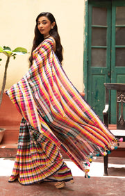 Vibrant Multi coloured cotton Check saree
