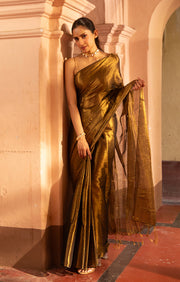 Liquid Gold Tissue Cotton saree With A Thin Black Border
